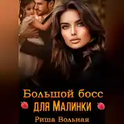 Постер книги Большой босс для Малинки