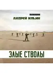Андрей Ильин - Злые стволы
