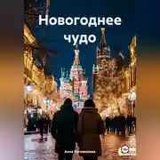 Постер книги Новогоднее чудо