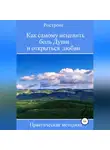 Роман Дюбков - Как самому исцелить боль Души и открыться любви. Практическая методика