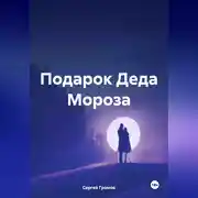 Постер книги Подарок Деда Мороза