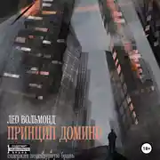 Постер книги Принцип домино