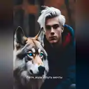 Постер книги Петя, волк и путь мечты