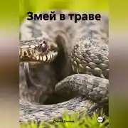 Постер книги Змей в траве