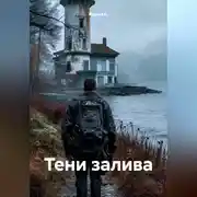 Постер книги Тени залива