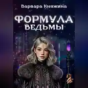 Постер книги Формула ведьмы