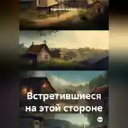 Постер книги Встретившиеся на этой стороне