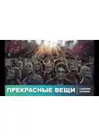 Сьюзан Палвик - Прекрасные вещи