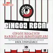 Постер книги Cingöz Recai'nin Harikulade Sergüzeştleri