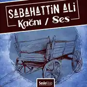 Постер книги Kağnı, Ses ve Diğer Öyküleri