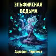 Постер книги Эльфийская ведьма