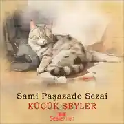 Постер книги Küçük Şeyler