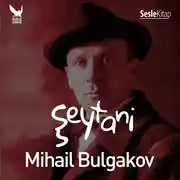 Постер книги Şeytani