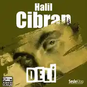 Постер книги Deli