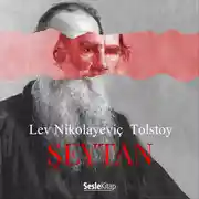 Постер книги Şeytan