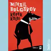 Постер книги Köpek Kalbi
