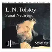 Постер книги Sanat Nedir