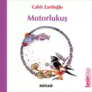 Постер книги Motorlukuş