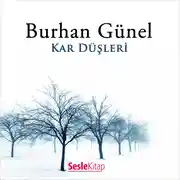 Постер книги Kar Düşleri