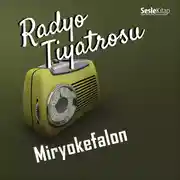 Постер книги Radyo Tiyatrosu – Miryokefalon