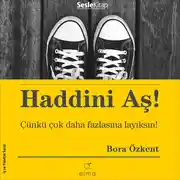 Постер книги Haddini Aş