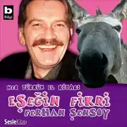 Постер книги Eşeğin Fikri