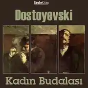 Постер книги Kadın Budalası