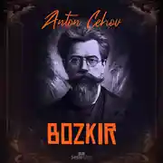 Постер книги Bozkır