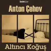 Постер книги Altıncı Koğuş