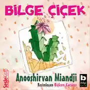Постер книги Bilge Ciçek