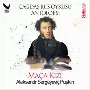 Постер книги Çağdaş Rus Öyküleri Antolojisi 12 – Maça Kızı