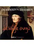 Desiderius Erasmus - Deliliğe Övgü