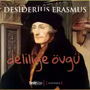Постер книги Deliliğe Övgü