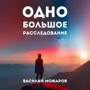 Постер книги Одно большое расследование