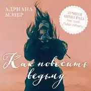 Постер книги Как повесить ведьму