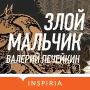 Постер книги Злой мальчик