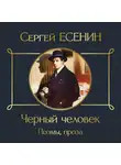 Сергей Есенин - Черный человек. Поэмы, проза