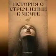 Постер книги История о стремлении к мечте