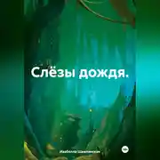 Постер книги Слёзы дождя.