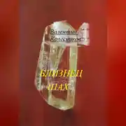 Постер книги Близнец Шах