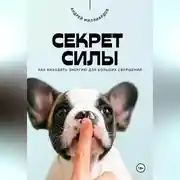 Постер книги Секрет силы. Как находить энергию для больших свершений