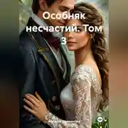 Постер книги Особняк несчастий. Том 3