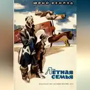 Постер книги Летная семья