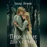 Постер книги Проклятие двух семей