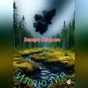Постер книги Иллюзия