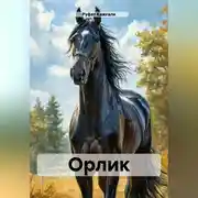 Постер книги Орлик