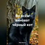 Постер книги во всём виноват чёрный кот