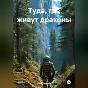 Постер книги Туда, где живут драконы