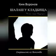 Постер книги Шалаш у кладбища. Страшилка из детства