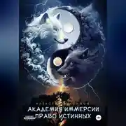 Постер книги Академия Иммерсии 2: Право Истинных